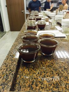 cupping-expocaccer-1