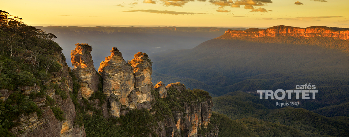 Café d'Australie